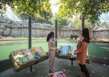 Belajar Tentang Fakta Unik Dan Menarik Beruang Di Batu Secret Zoo