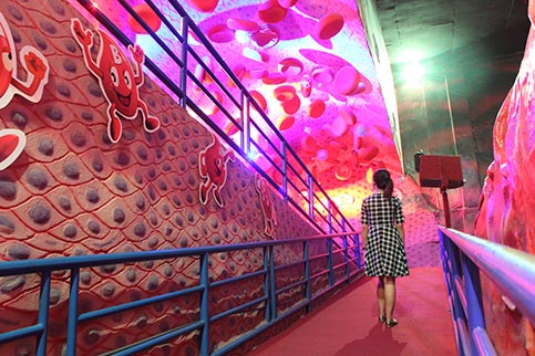 Zona Pembuluh Darah Museum Tubuh Jawa Timur Park