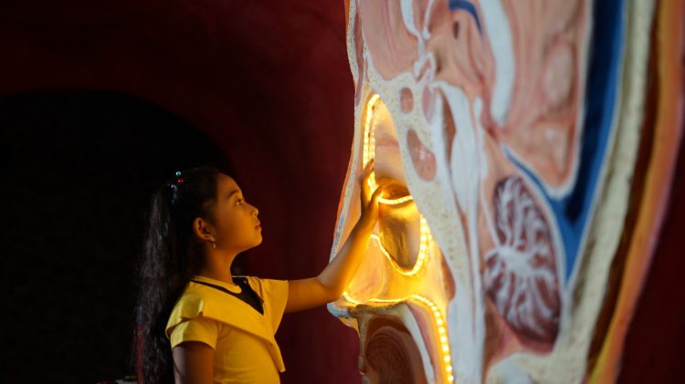 Tes Indra Penciumanmu Di Museum Tubuh Yuk 750x421